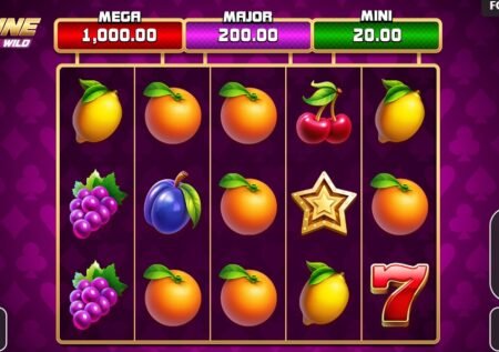 Fortune Wild Slot