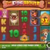 The Dog House Megaways Slot