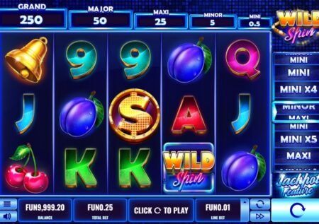 Wild Spin Slot
